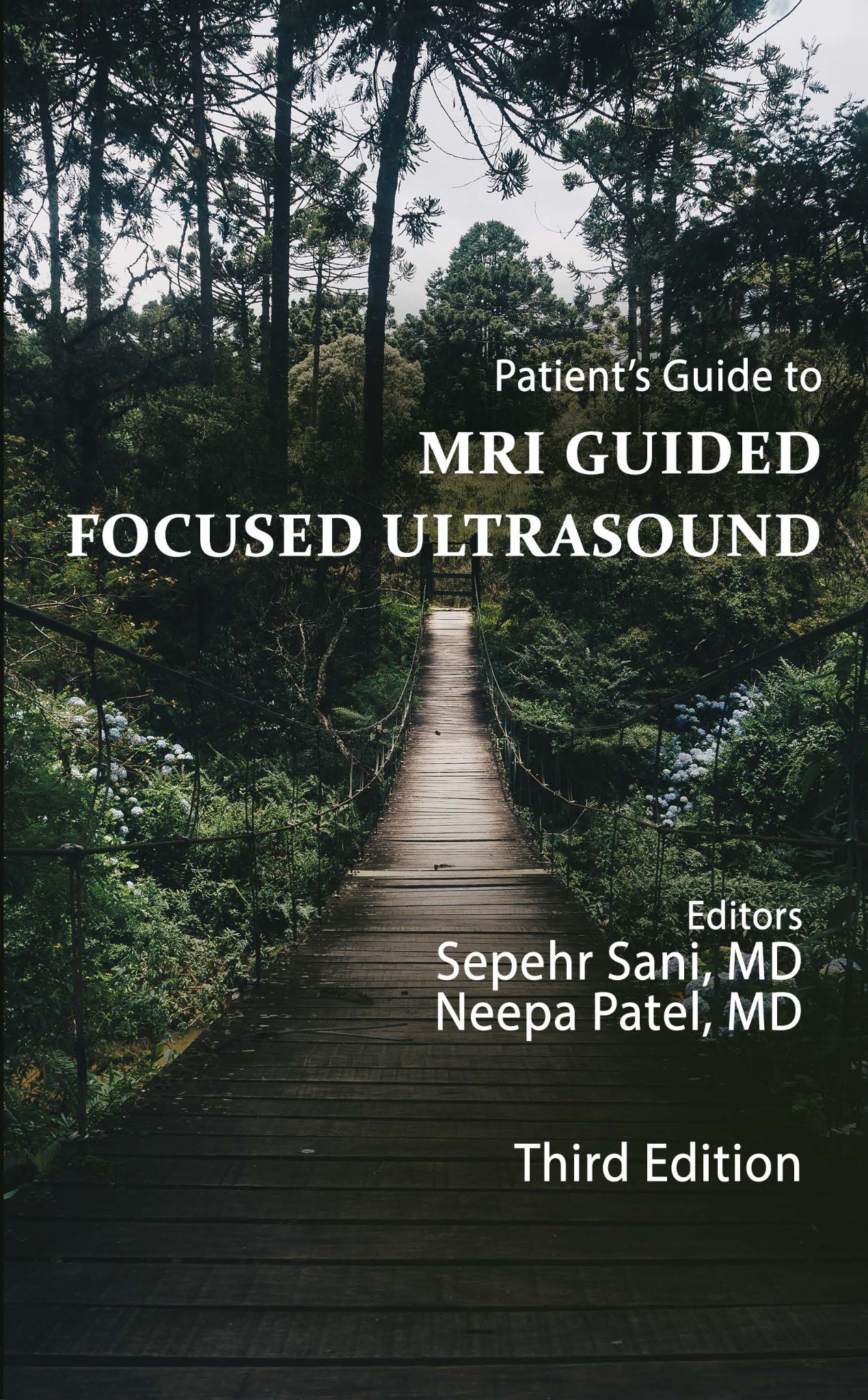 MRgFUS Guide cover